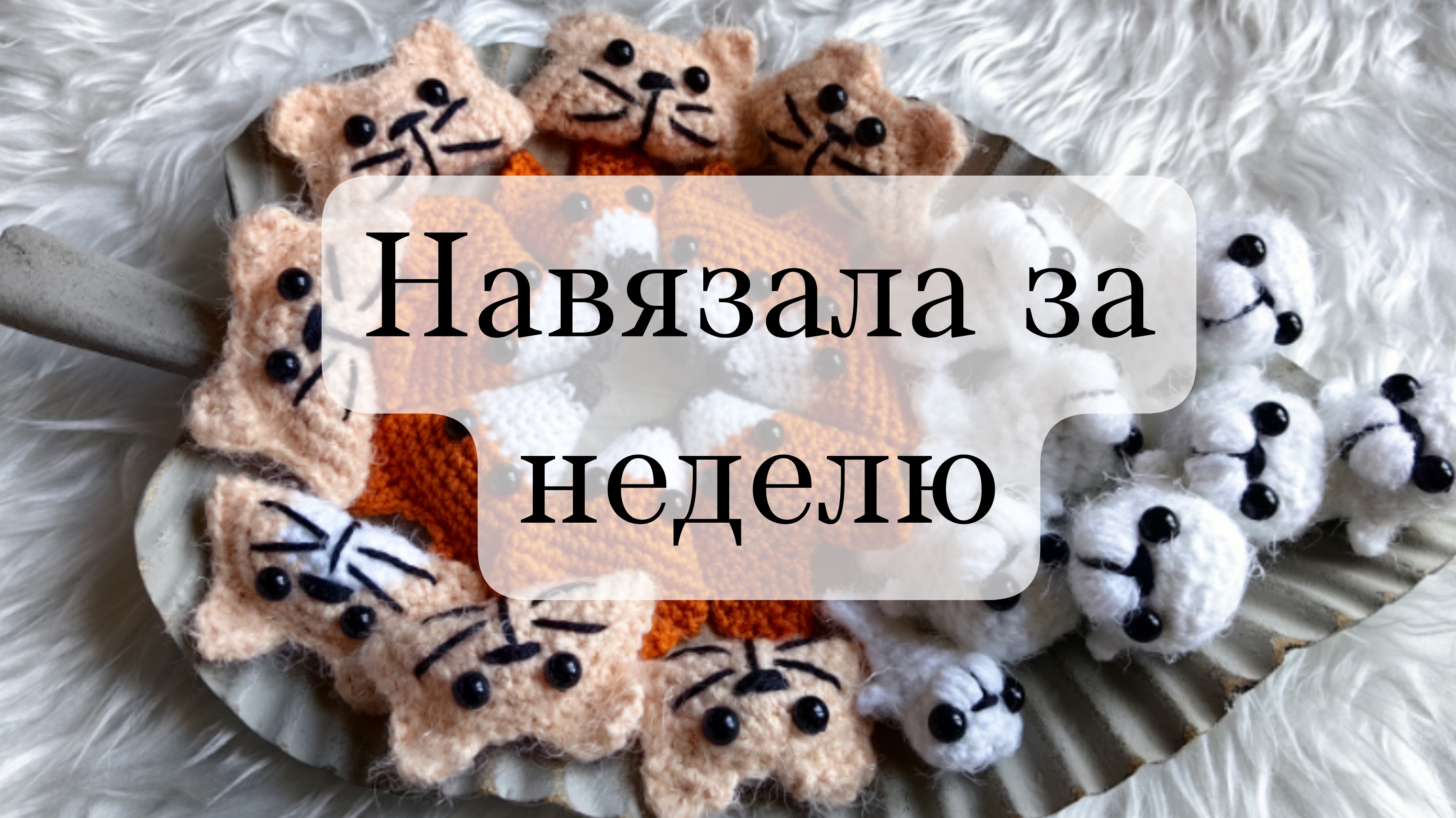 вязовлог 23/2025 навязала за неделю