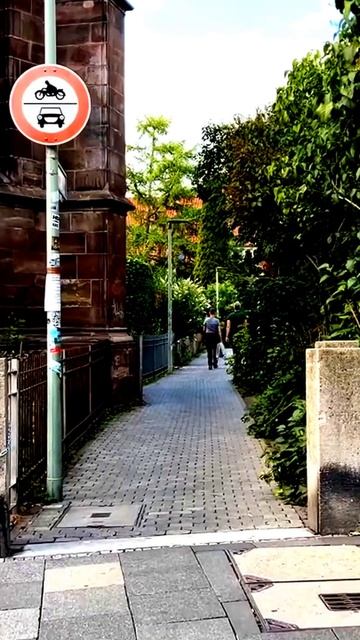 Камера запечатлела правду