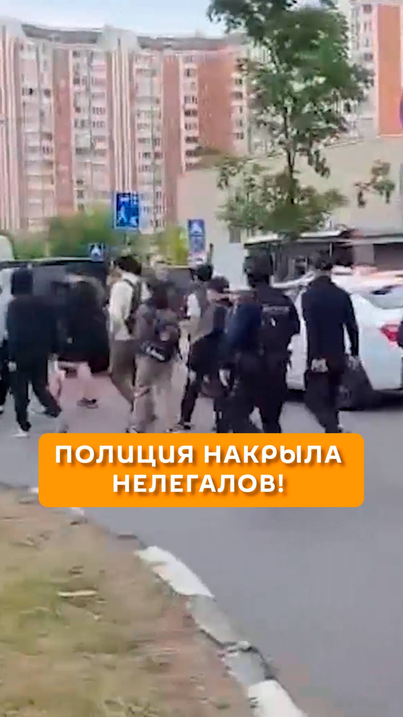 Полиция накрыла нелегалов!
