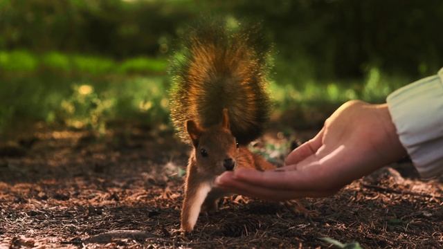 Видеоэкскурсия по ЖК "Юнион" | Тюмень