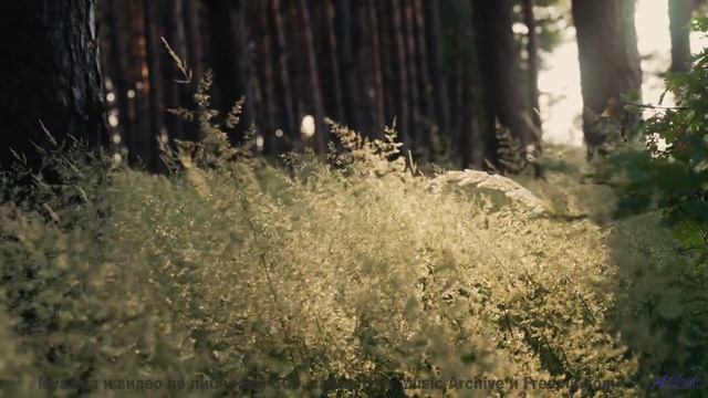 Под эту музыку природа дышит по-новому - Lucky Day -- Crowander -- Commercial 30 Seconds (filmtv mus