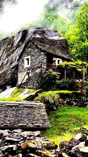 Камера зафиксировала