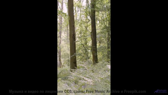 Вы не выдержите - слишком красиво и звучно сразу - Trace da Funk feat Grafezzy -- Ketsa -- As Above