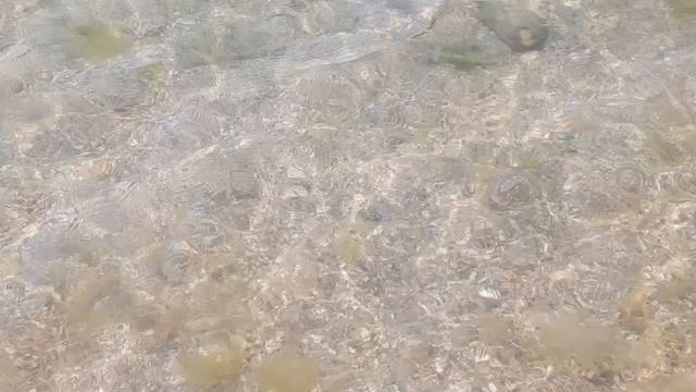 Пляж анапа 2025 морская вода