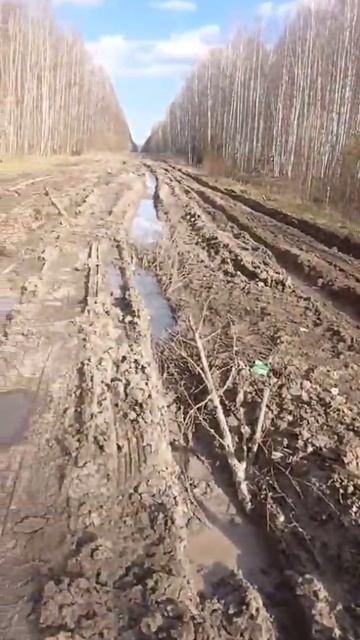 Такой дороги не где нет. Томск -Кедровый😱