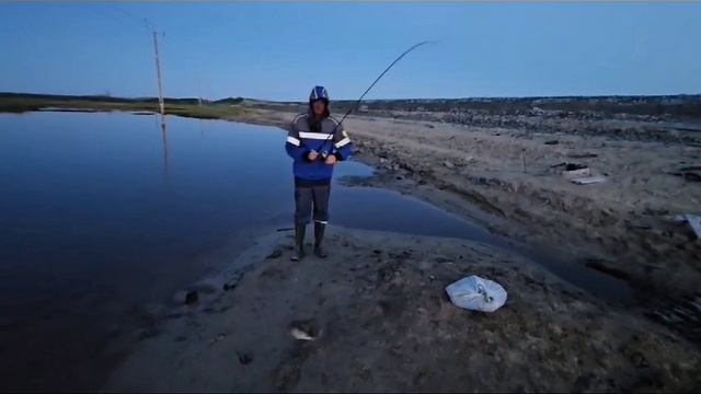 Вот такая рыбалка летом в 4 часах езды от Нового Уренгоя😀