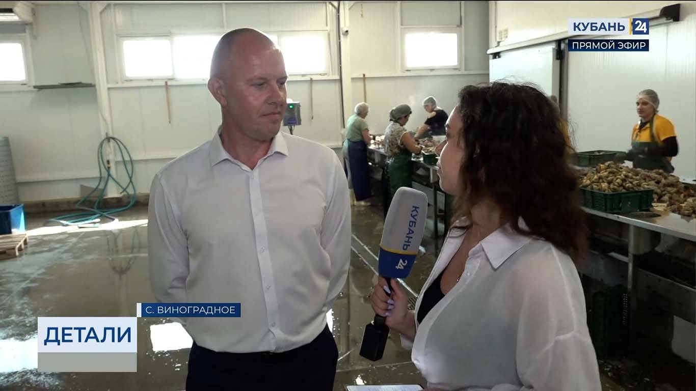 Андрей Гаевой: за 10 лет АПК курорта получил 200 млн рублей господдержки