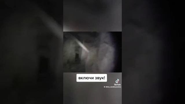 что ты такое