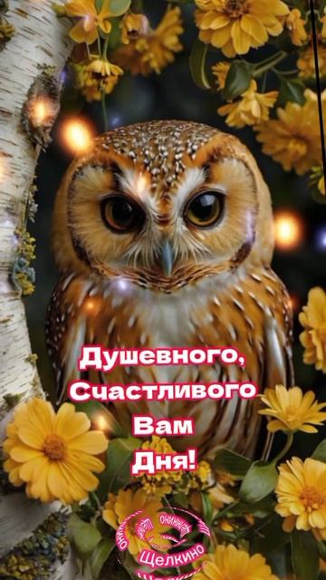 Добрый день. Доброе утро. ВидеоОткрытка