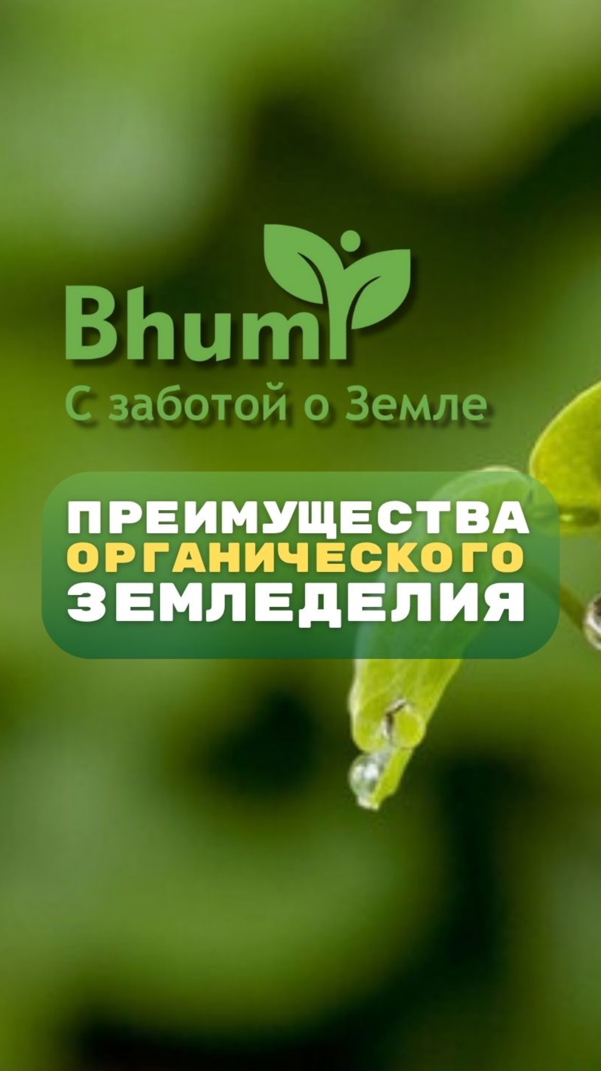 Преимущества органического земледелия