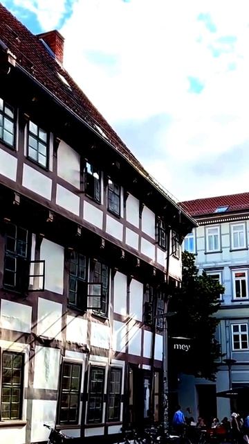 Неожиданный гость в кадре