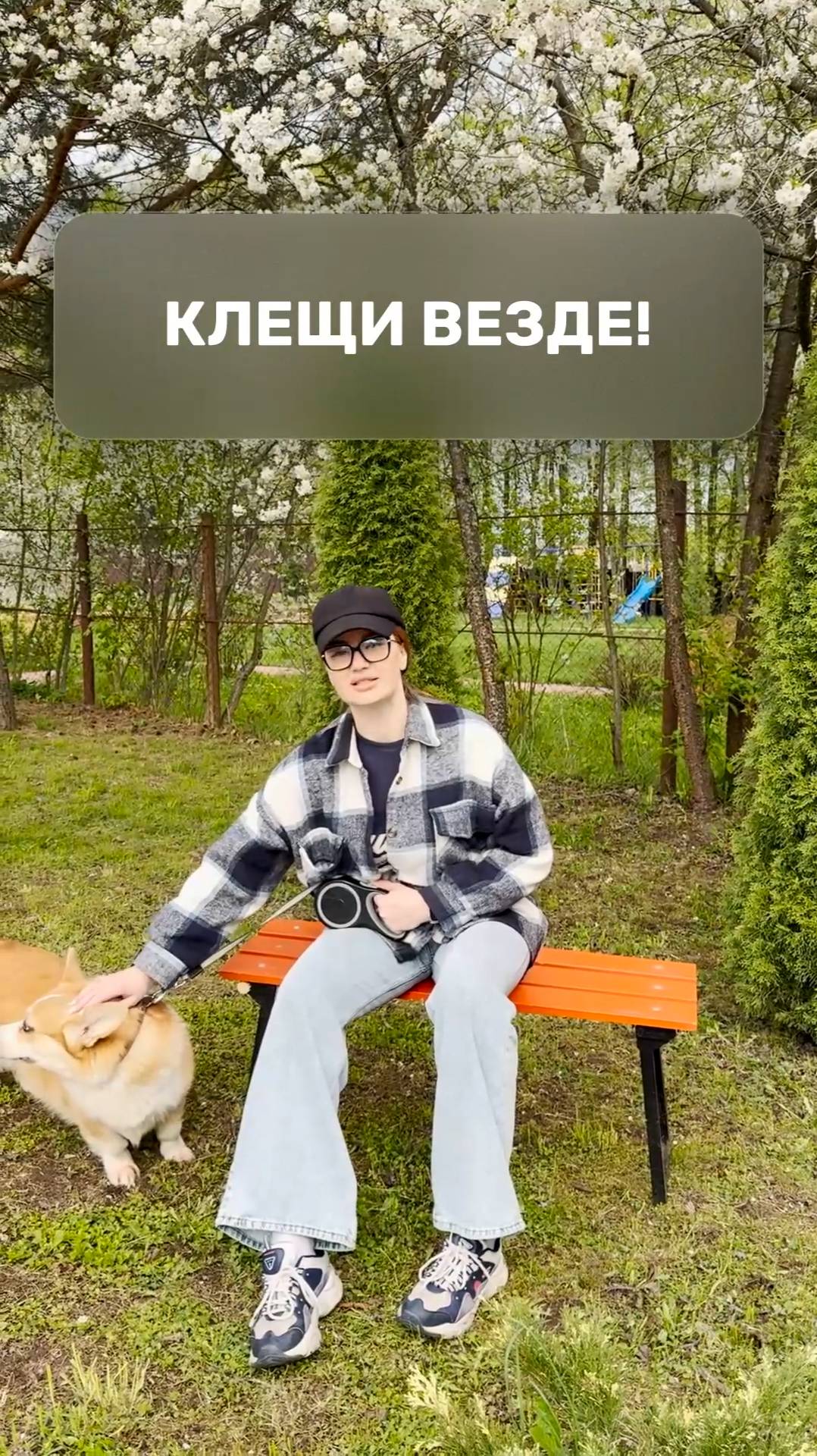 Клещи везде!