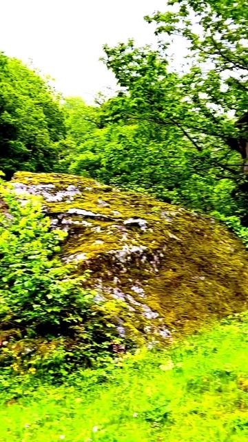 Неожиданные кадры на камеру