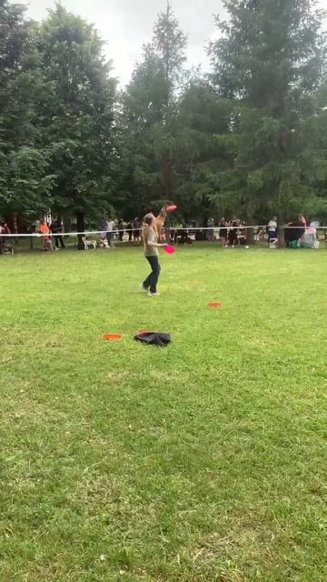 Спортивный Метис Прима - выступление на #собакивгороде2025