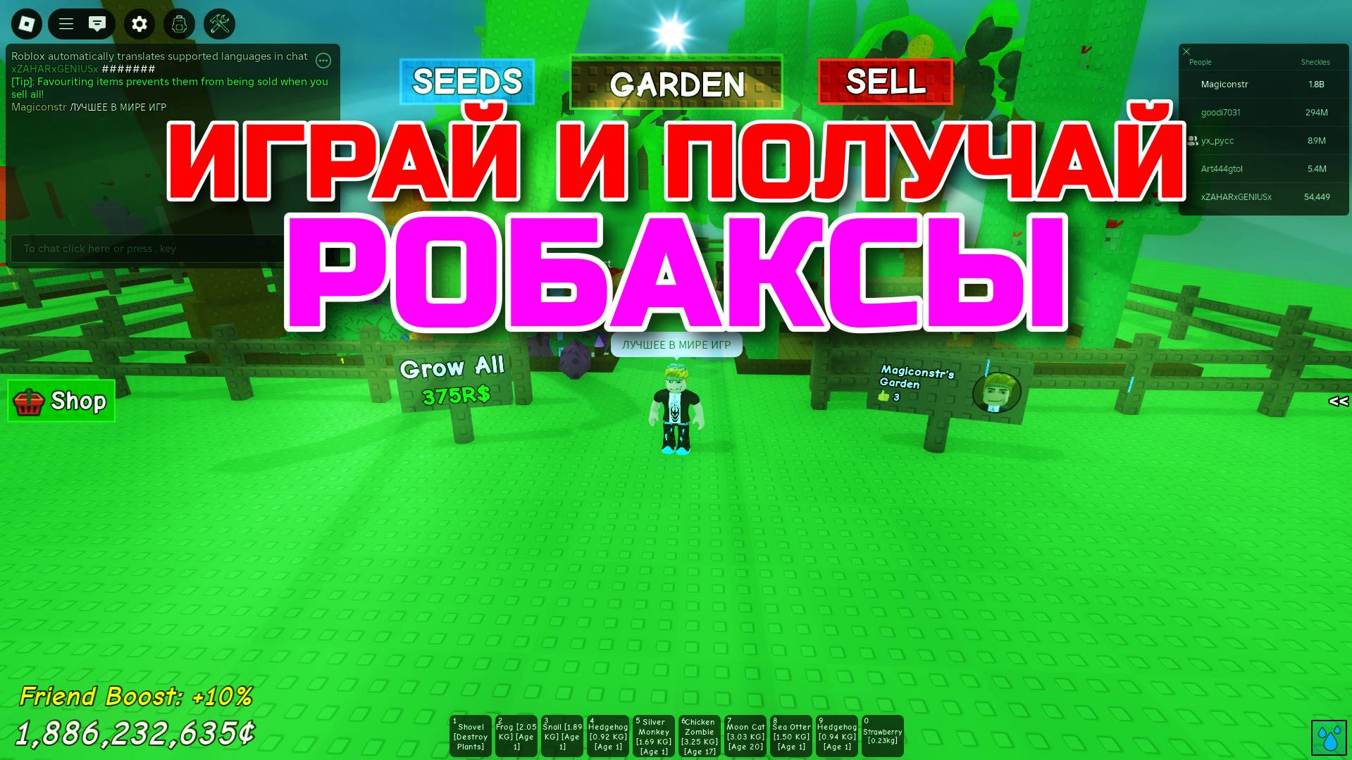 Вырасти Сад Роблокс 🌱 СМОТРИ, ИГРАЙ и ПОЛУЧАЙ РОБАКСЫ в Grow a Garden Roblox! РОЗЫГРЫШ на канале!