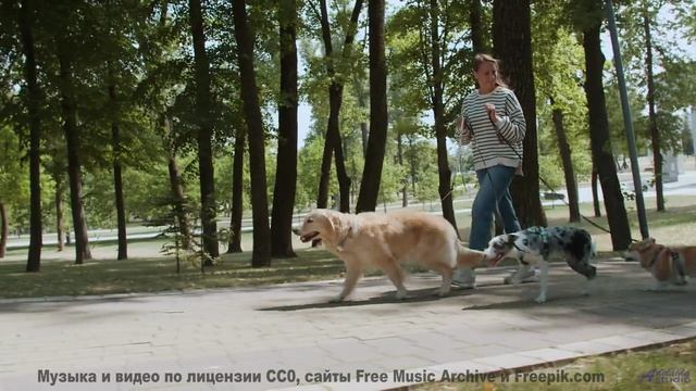 Вам такого не показывали - природа и музыка - Needing Silence, Needing Peace -- A Tape Full of Mista