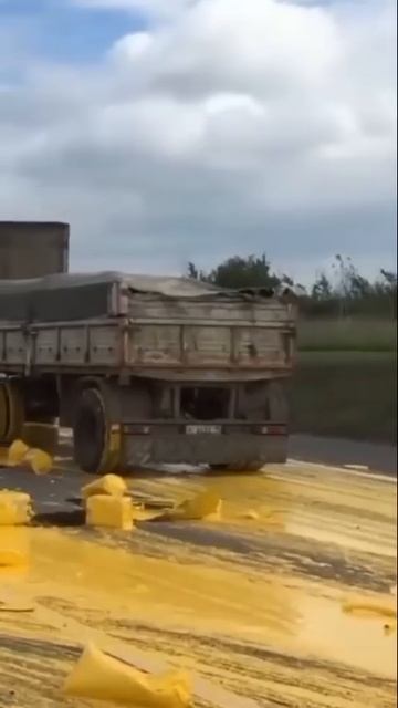 Миньон😂😂