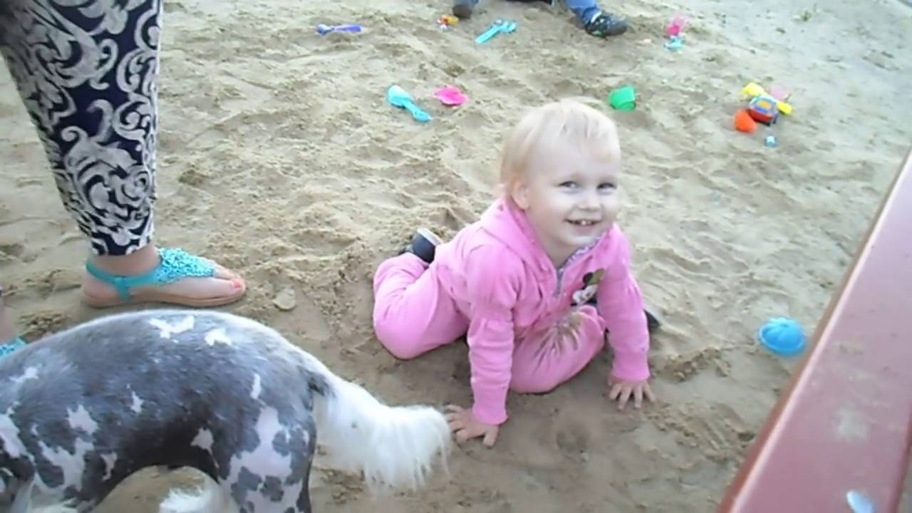 Алиса играет в теннис на улице с детьми, играет с собакой и мальчиком Сашей