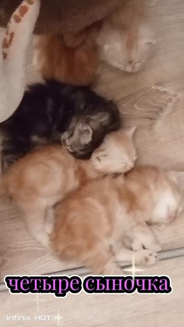 Помет А
 нам сегодня 1 месяц