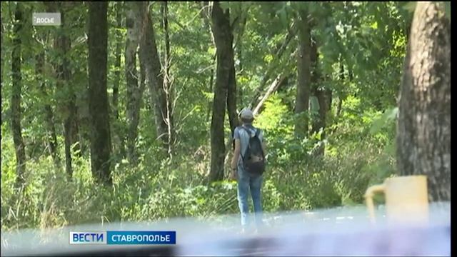 Ставрополец получил 16 лет строгого режима за создание нарколаборатории