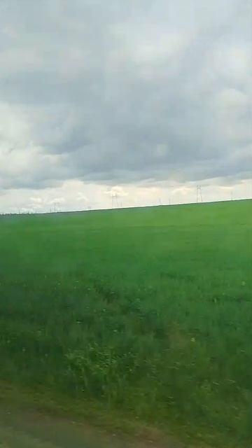 Полянка