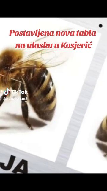 ПЧЕЛЕ У ОДБРАНИ СРБИЈЕ ОД БЛОКАДЕРА - ЖИВЕЛЕ ПЧЕЛЕ, ЖИВЕЛА СРБИЈА!.mp4
