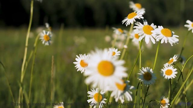 Музыка дарит эмоции, которых давно не хватало - PointsOfView. -- Ketsa -- As Above So Below