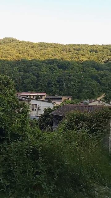 По дороге из Солоников в Мирный