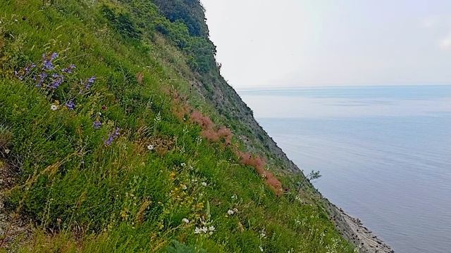 Архипо - Осиповка , вид с горы Ёж