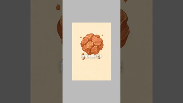 КАК КОРАН ОПИСАЛ АНАТОМИЮ ДО МИКРОСКОПА #апмрф #ислам #религия