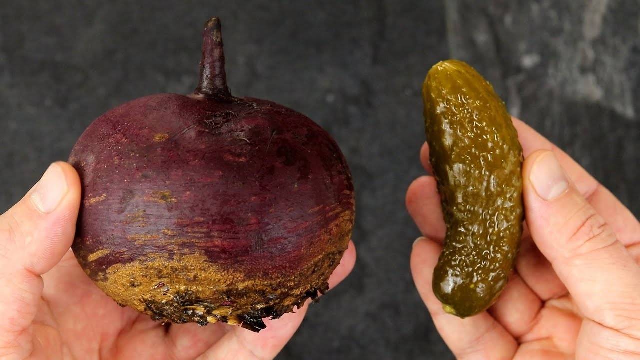 Беру СВЕКЛУ и солёный огурец! Готовлю потрясающий салат! Вкусный рецепт из простых продуктов!