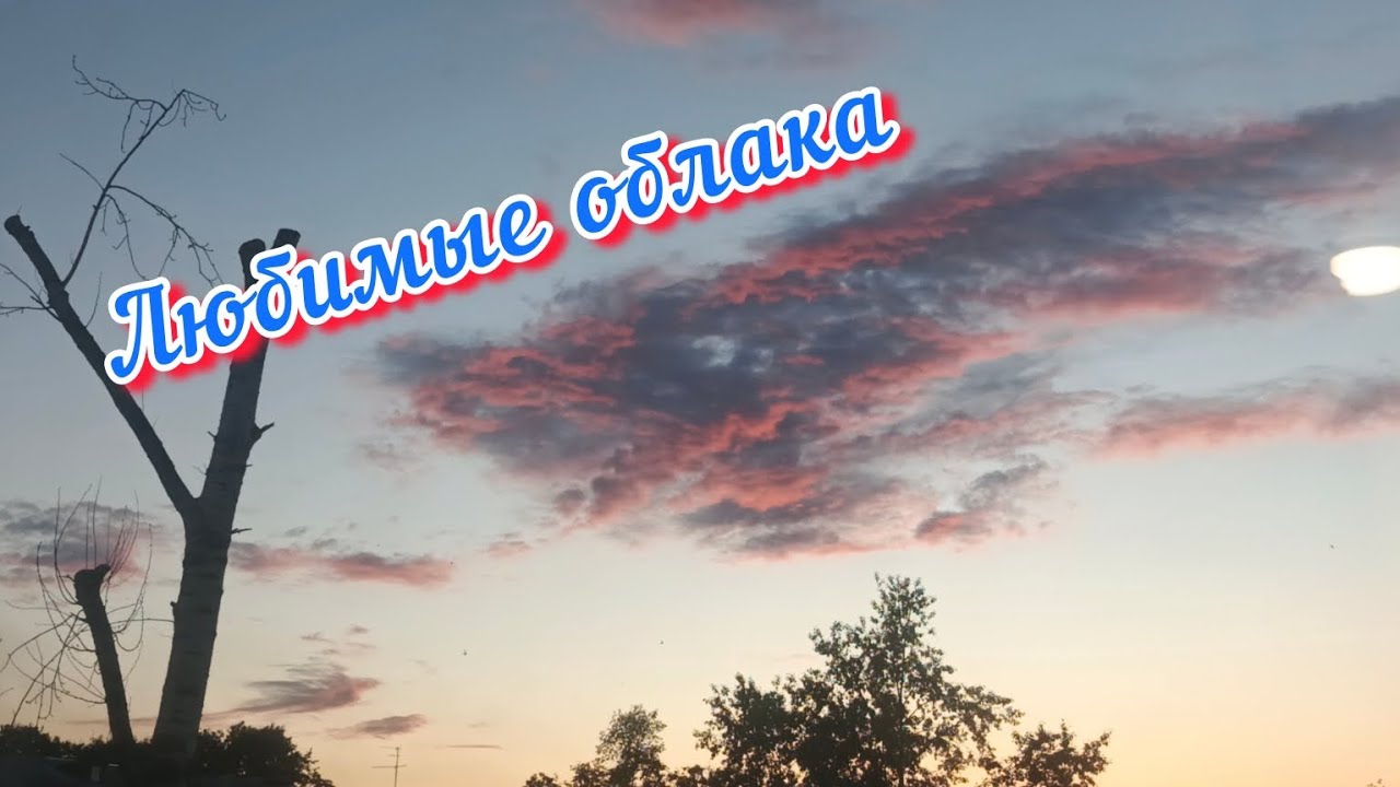 Такая красота, а я то на работе, то дома... VLOG