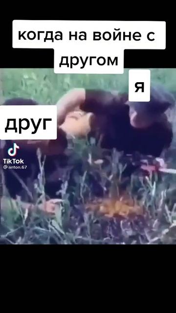 Друзья на войне