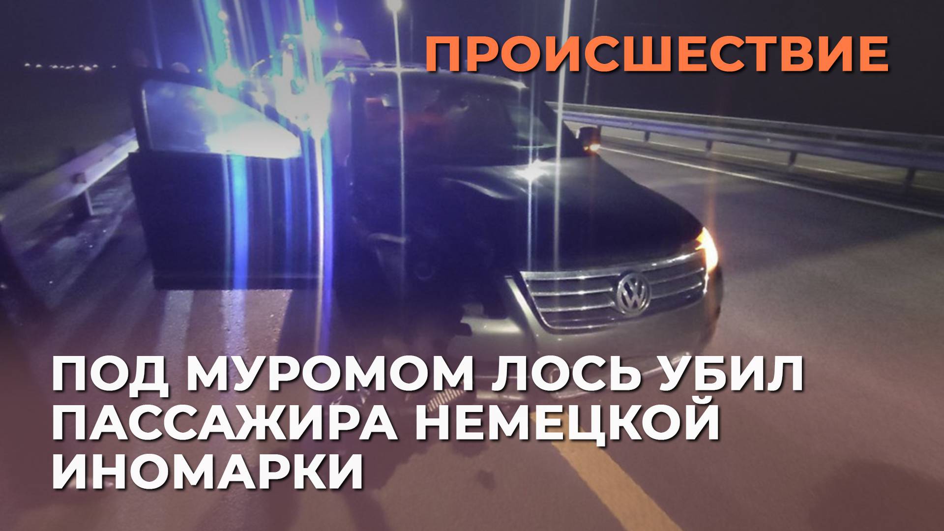 Под Муромом лось убил пассажира немецкой иномарки