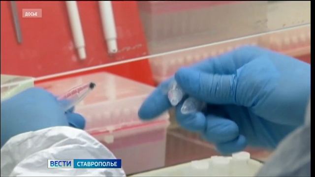 Пятеро ставропольцев заболели геморрагической лихорадкой