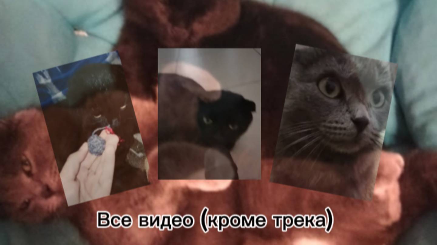 Все видео (кроме трека) с канала:"Тимошка и Шушик"!!! С самого начала до самого конца!