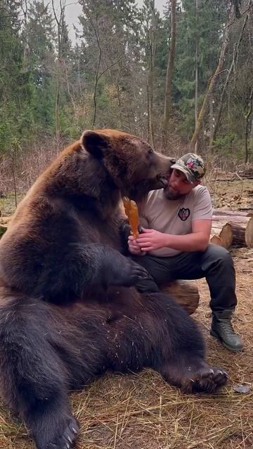 🐻Когда завязалась неожиданная дружба с мишкой