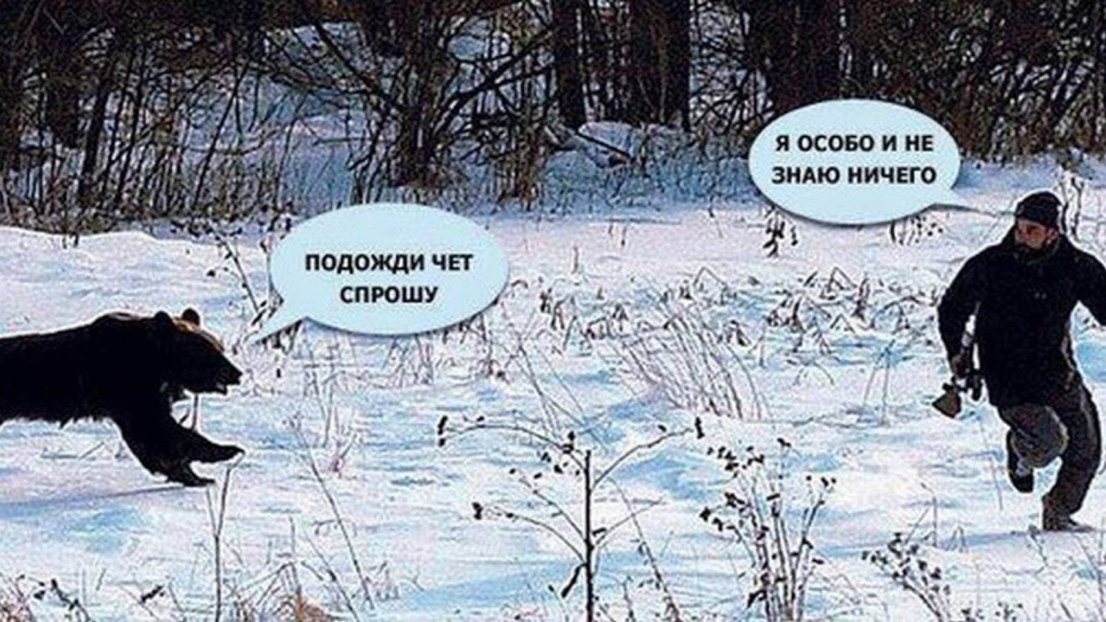А мы пойдём на север