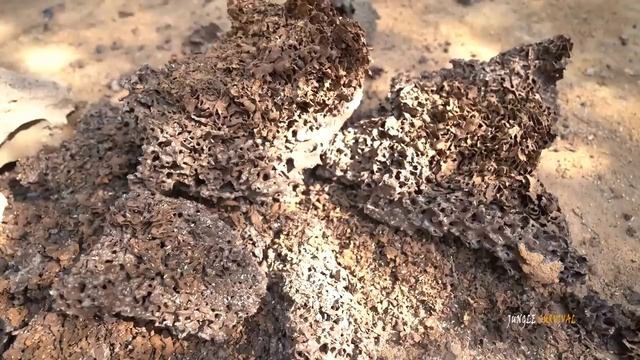 Постройка бассейна голыми руками в лесах амазонки часть 4