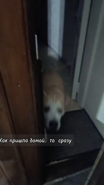 Интеллектуальная  беседа