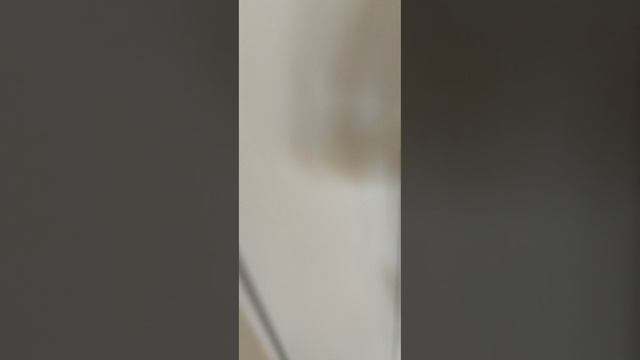 VID_20250611_064404.mp4