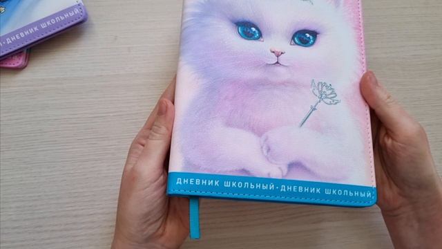 Дневник школьный, формат А5+, 48л., твёрдый переплёт с поролоном, искусственная кожа "Наппа", 68668
