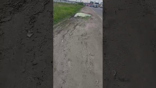 Прогулка