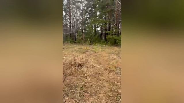 Продаётся земельный участок в направлении Каменск-Уральский тракт, р-н Рассоха, ул. Дарвина