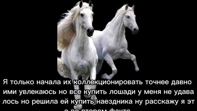 Лошади шляйх подробнее.