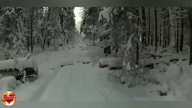 Псалмы _2013_2014_2015_2016 г. Сборник 5
