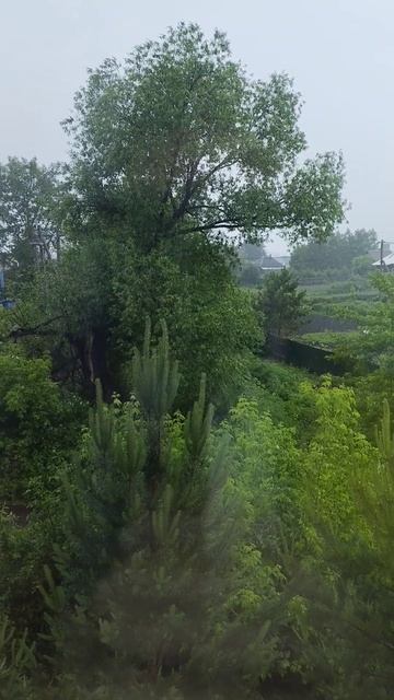 Дождь за окном