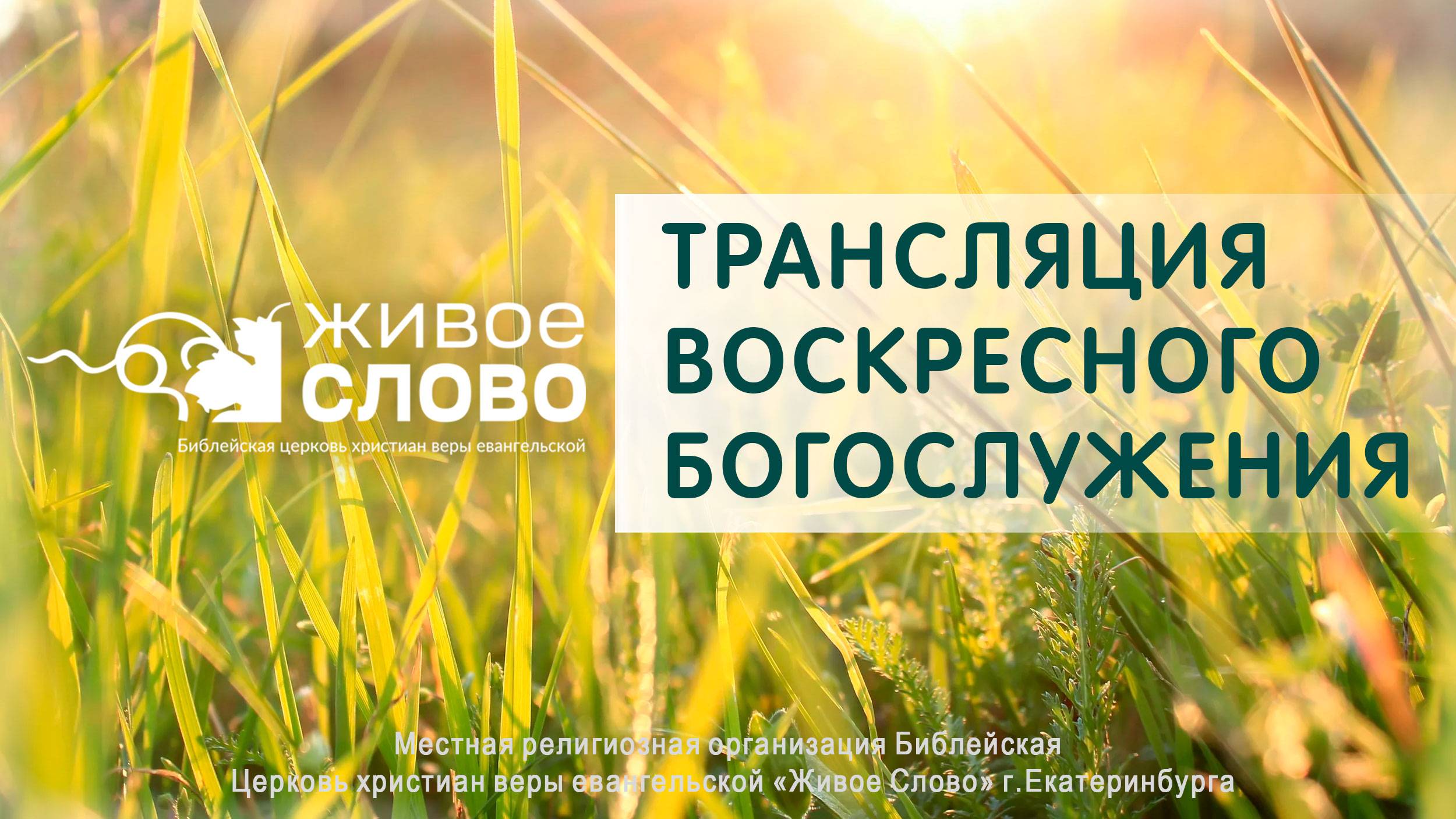 15 июня 2025 в 11:00 (ЕКБ) / Воскресное #богослужение / Церковь «Живое Слово»