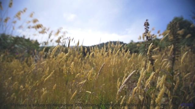 Это видео - как погружение в океан спокойствия! - Mountains All Around Us -- Scott Holmes Music -- R
