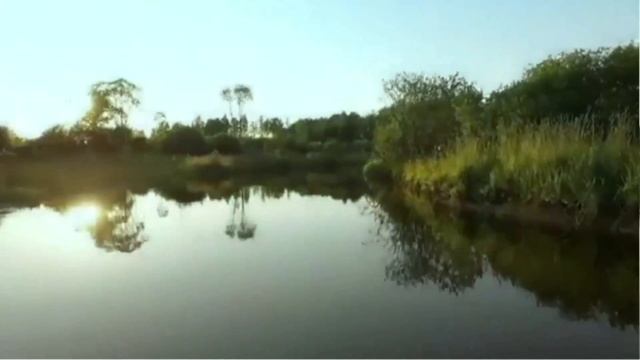 Черёмуха